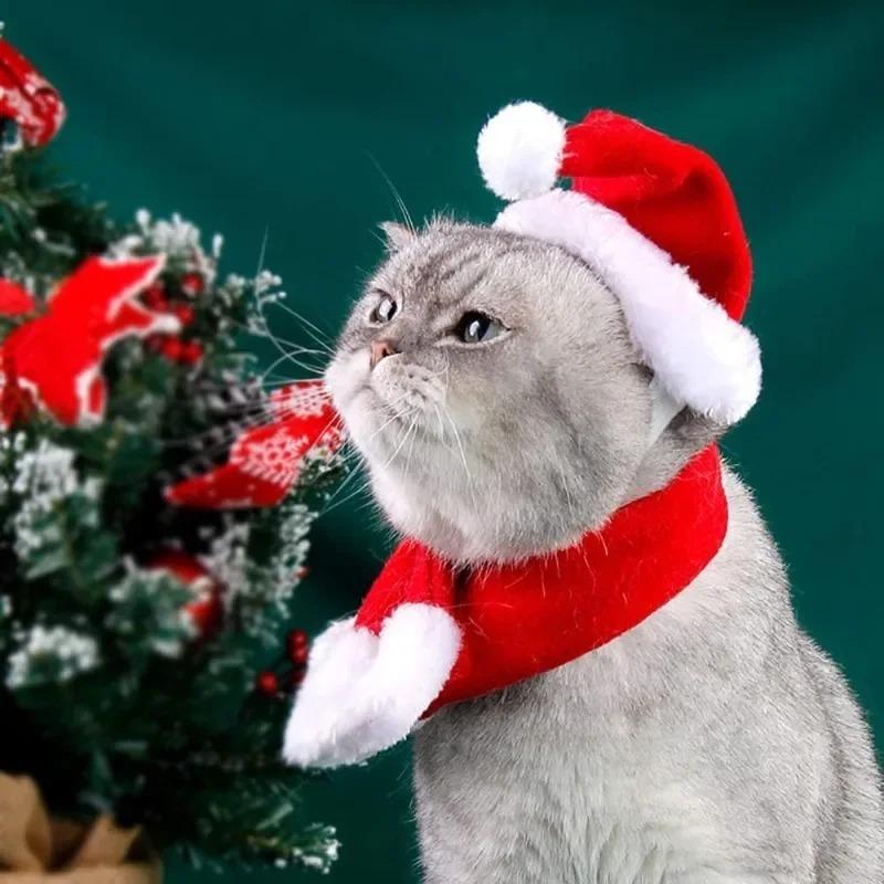 1-20Suits Christmas Pet Costume Outfit Santa Hat Scarf for Cats Small Dogs Holiday Party Pets Party Costume Accessories Supplies