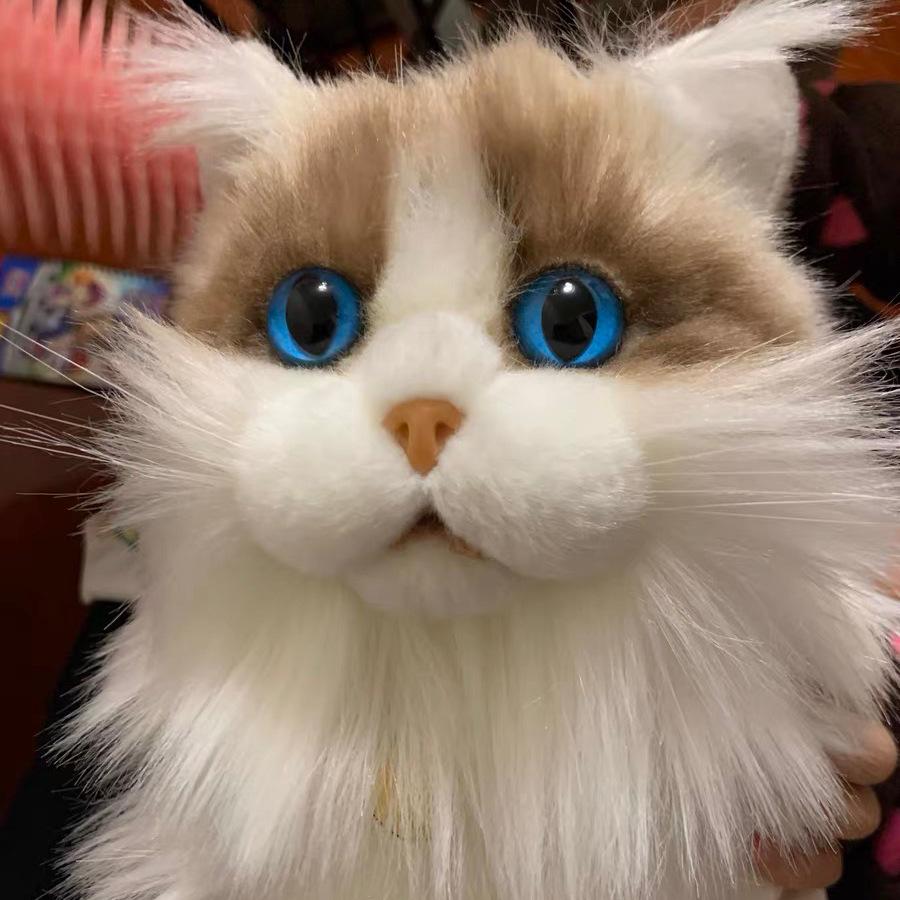 Crafted Beautifully Plush Cat Doll Soft Long Fur Kitty Toy For Kids And Collectors