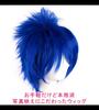CaseEden Cosplay Wig, Premium Short, 30cm, Blue, WIG5530