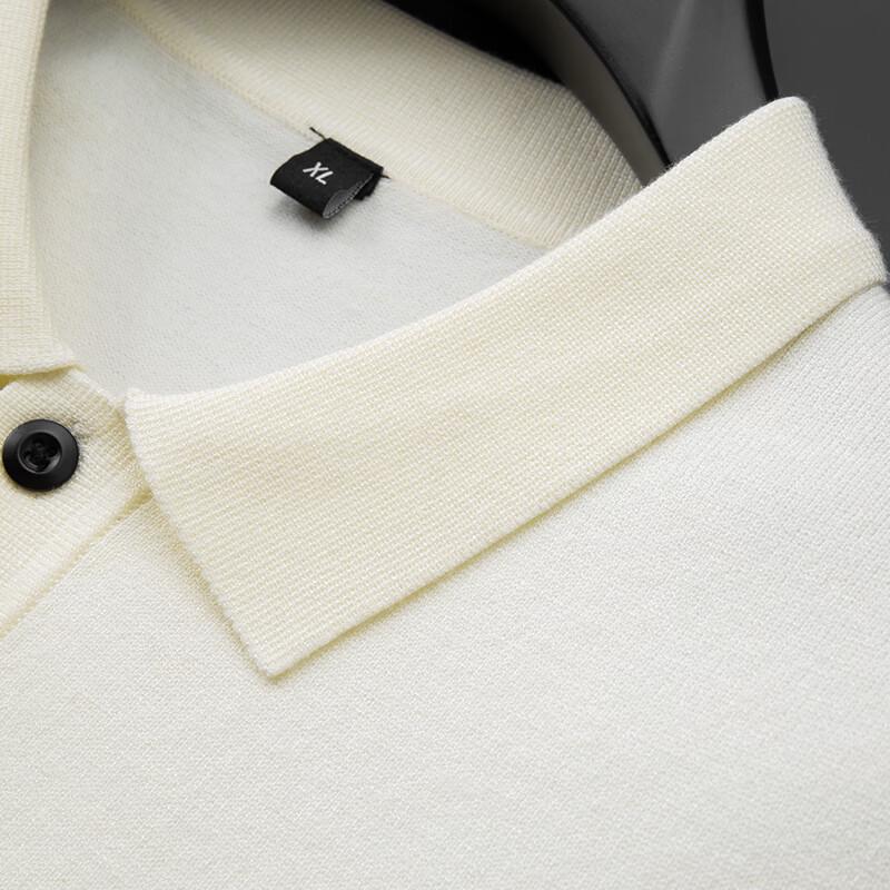 Men's Plus Size Short Sleeve Polo Shirt