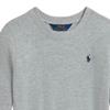 Polo Ralph Lauren Sweatshirt FW24 Solid Color Small Pony Embroidery Crew Neck Pullover Long Sleeve Kids sweatshirt Gray 313844839-003