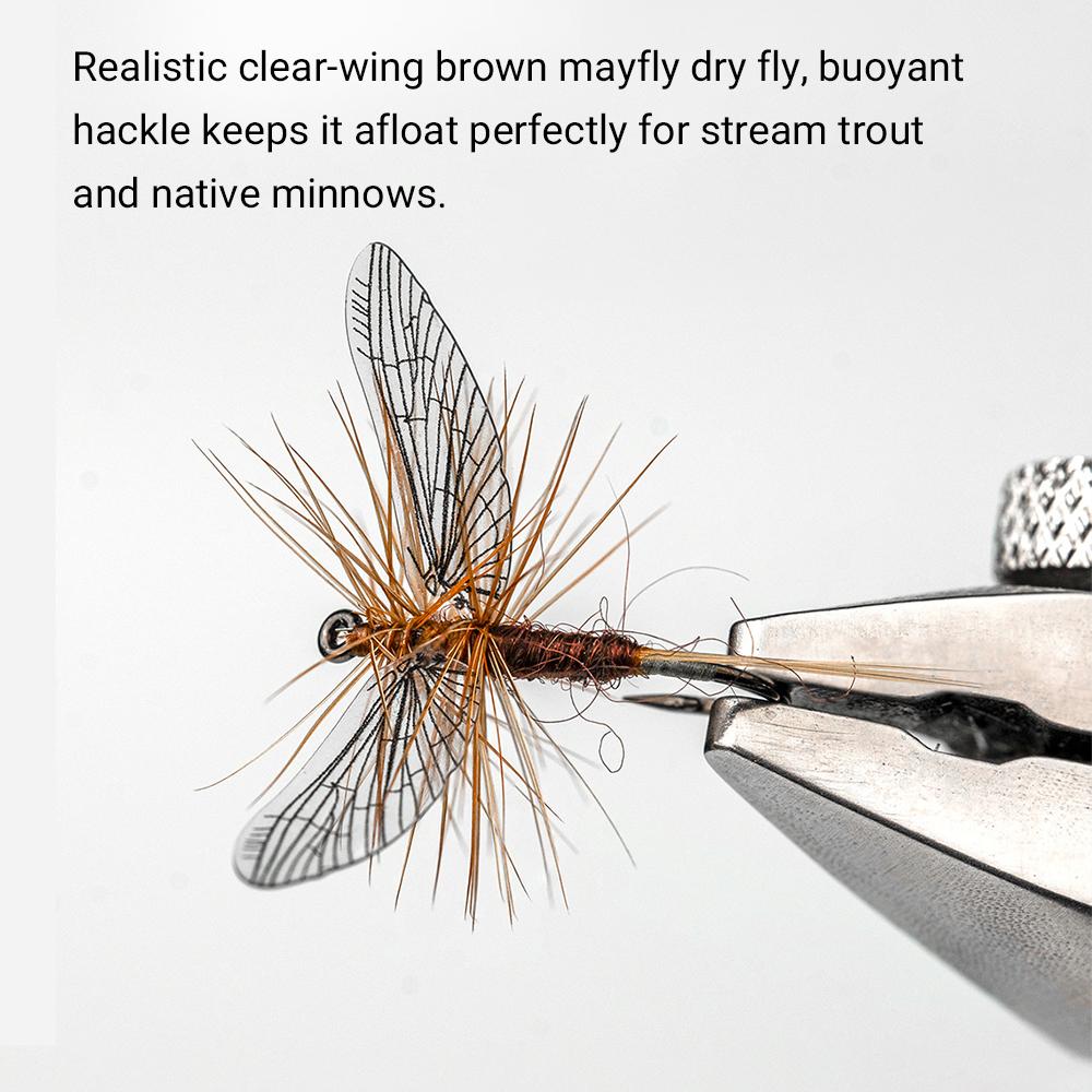 5 Stück braune Eintagsfliege Trockenfliege, durchsichtiger Flügel mit klaren Adern, künstlicher Fliegenfischerköder für Forelle, Döbel, Bach Süßwasserfischerei