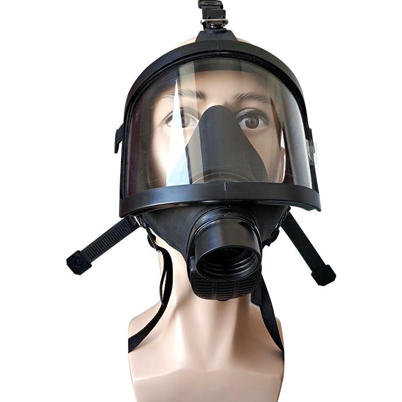 Longchan Full-Face Respirator Mask