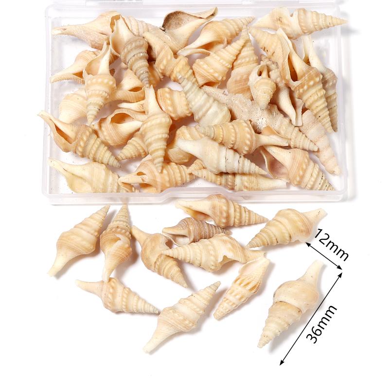 1 Box Sea Shell Spiral Shell Tiny Ocean Spiral Seashell Conch Crafts Aquarium Decoration Landscaping Accessory Photography Props