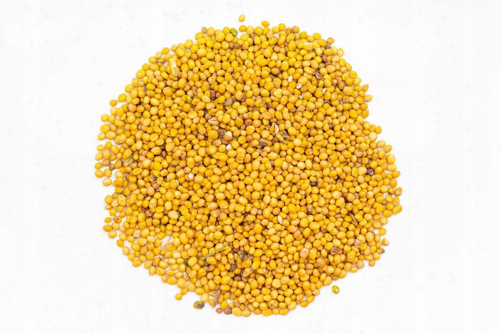 Gorczyca Biała Ziarno - 100g