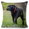 Cute Black Labrador Dog Double-Sided Printed Pillow Cover Short Plush Suitable Living Rooms Bedrooms Sofas Throw Cushion Cover