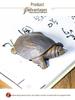Handmade Retro Chinese Divine Turtle Ornament for Home or Office Decor