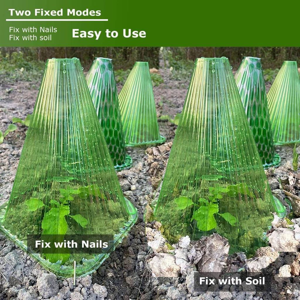 Plant Cloches Cover Reusable Snail Collar Vegetables Growth Box From Insects Bird Plant Protection Plastic Covers Garden Tools