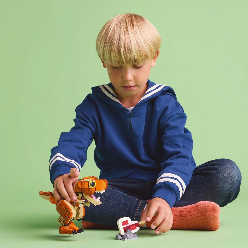 LEGO Jurský svět Malá hračka Dárek k narozeninám Blok Kluci Dívky Děti 7 let 8 let 9 let Student základní školy Dinosaurus 76967