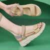 Fashion Thick Soled Sandals Womens Summer Lightweight Non Slip Comfortable And Casual Women'S Shoes 2026 Sandales Femmes éTé