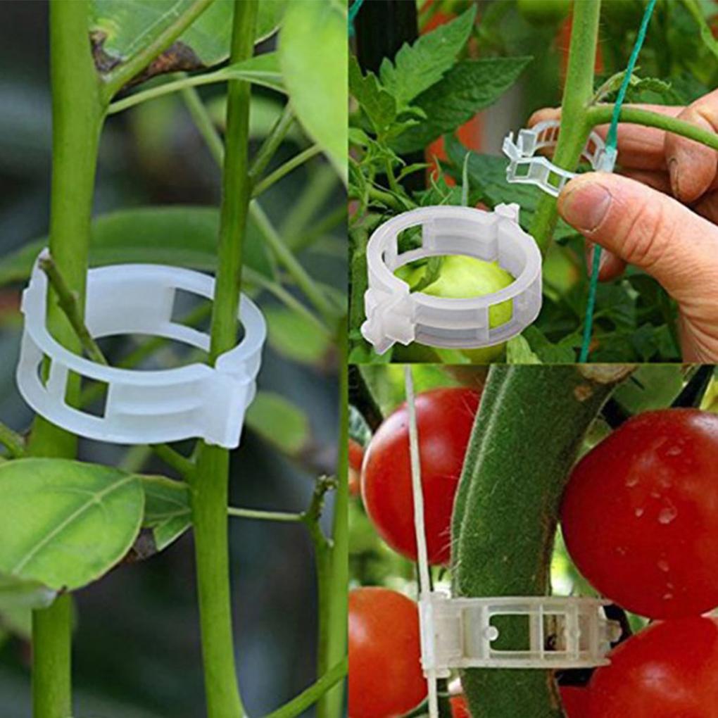 Retaining Clips Reusable Protection Grafting Supports Clamping Tools Plastic Gardening Supplies Greenhouse Vegetable