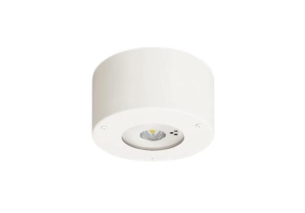 Panasonic LED Emergency Lighting Daylight for Low Ceilings to and with Switch and Remote Control White Ceiling-Mounted Fixture, White, 30-Minute Type,