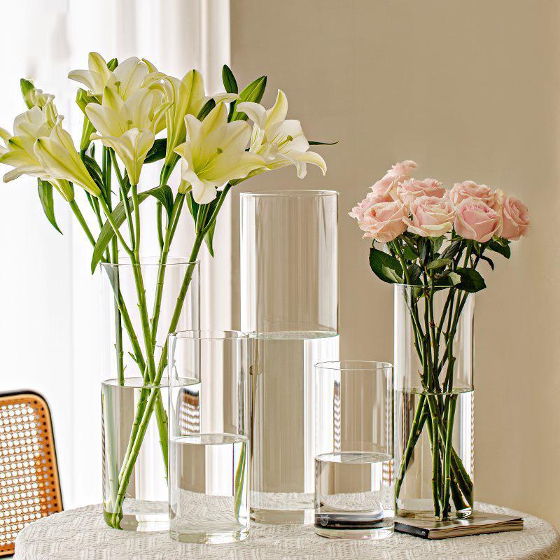 Light Vase Ins Style Cylinder Vase Transparent Flower Vase Living Room Decoration Vase Household Hydroponic Plants Cup