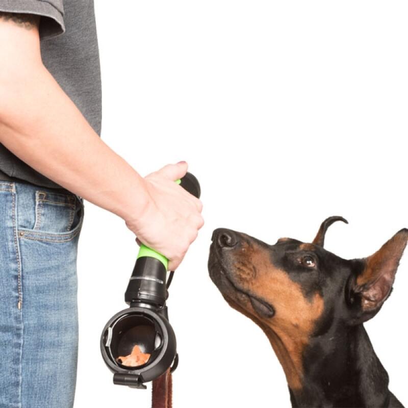 Поводок для собаки, шлейка, нагрудный ремень, шлейка, ручка, набор для дрессировки Electric Blue