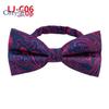 Fashion Blue Paisley Bowtie  Set for Men Wedding Business Party Luxury Pre-tied Men's Bow Tie Gifts
