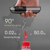 50Kg/110Lb Hand Luggage Scale High-Precision Mini Hook Weighing Luggage Weigher  Travel