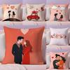 Sweet Couple Cushion Cover Silky Short Plush with Invisible Zipper Dustproof Sofa Pillow Case for Home Decor