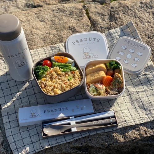 OSK PEANUTS EVERYDAY SSP-22 Sealable Containers (2-Pack) 360/550ml