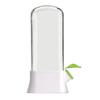 Refrigerator Herb Storage Box Upright Cilantro Storage Container Parsley Preservation Box Keeps