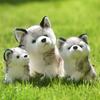 Husky Stuffed Animals Children Husky Dog Plush Toys Dog Plush Toys Stuffed Doll Plush Husky Dolls