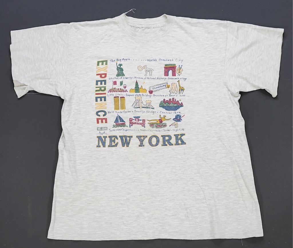 Vintage Experience New York City Landmarks Monuments T Shirt 90s Tourism