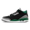 Air Jordan 3 Retro 'Pine Green' Jordan CT8532-030
