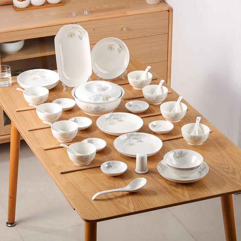 Jieyajie Ceramic Dinnerware Gift Set