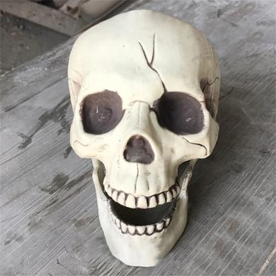 Creepy Plastic Open Mouth Skeleton Haunted House Decor Halloween Prop