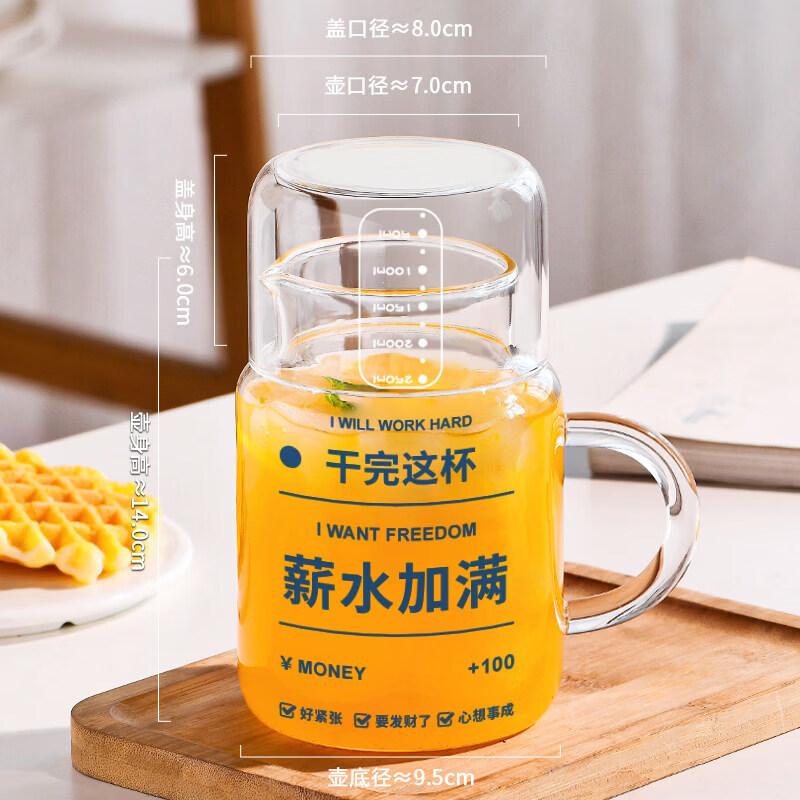 Youluo 800ml High Borosilicate Glass Water Bottle