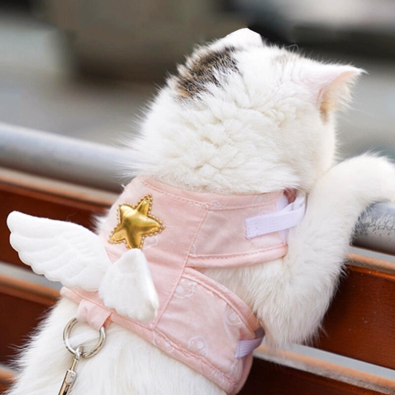 Pet Angel Harness + Leash (XL) (Pink)