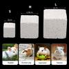 Natural Mineral Teeth Molar Stone Guinea Pig Hamster Rabbit Teeth Grinding Stone Small Pet Dental Care Chew Toys Pets Supplies