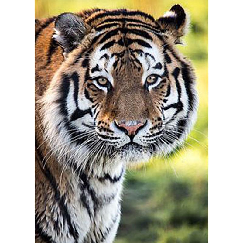 5D Diy Diamond Painting Animal Tiger Diamond Embroidery Full Drill Rhinestones Daimond Painting Mosaics Home Decor Cross Stitch