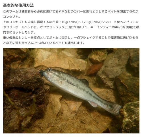 Imakatsu Bass Worm 145