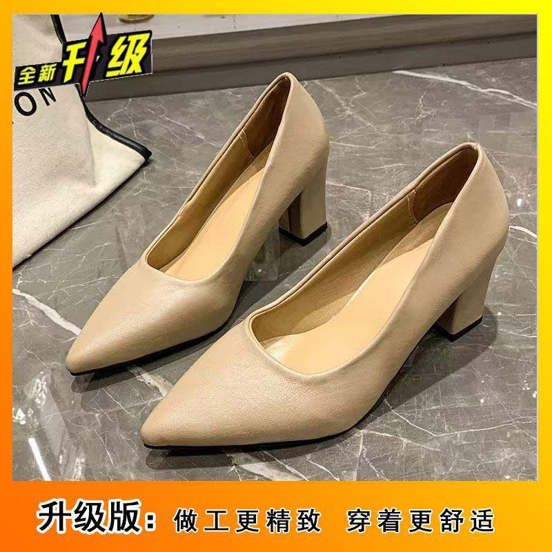 New mid-heel comfortable nude 35-42 large size women's shoes 2025 temperament pointed versatile professional French high heels