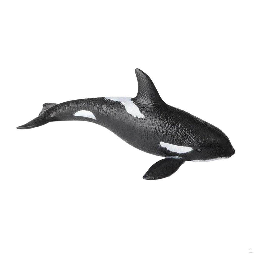 Cephalopod Figurine Lifelike Details Realistic Toy Educational Marine Animal Model for