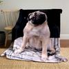 Cute Pug Dog On White Blanket for All Seasons Blanket Lunch Break Throw Gift
