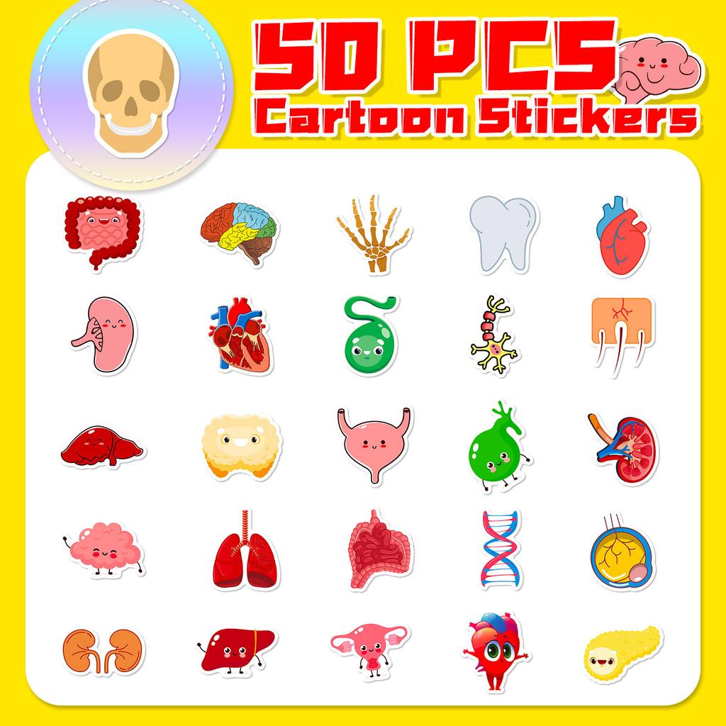 50 Cute Human Organ Stickers for Decorating Cartoon Human Organ Children's Early Education Stickers