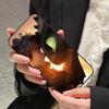 Lovely couple Toothless Fury Dragon Phone Case For iPhone 15 14 11 12 13 Mini Pro XS Max Cover 6 7 8 Plus X XR SE Funda Shell