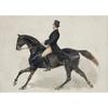 Vintage Botanical Flying Bird Rustic Horse Equestrian Rider Hunting Dog Poster Canvas Painting Print Wall Art Picture Home Decor