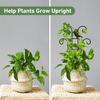 Garden Stake Removable Obelisk Support for Climbing Plant Trellis Height Suitable for Various Climbing Plant
