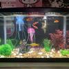 Aquariums Artifical Coral Grass 7Pieces Fishtanks Plastic Plant and Cave Rock for Safe Underwater Landscape Decors