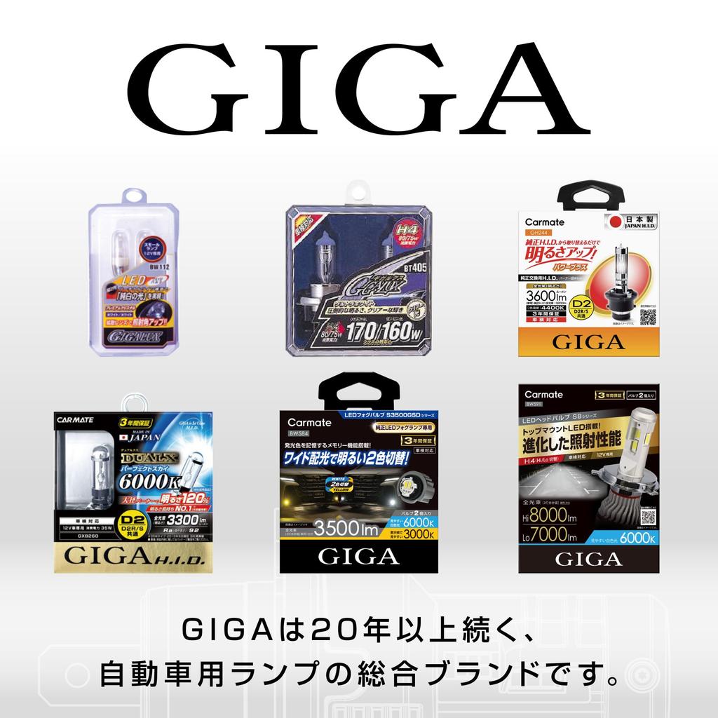 CARMATE GIGA Car LED Head Fog C5500 Wide Beam for Easy BW573 & Bulbs, Series, 6000K, H8/H9/H11/H16, 5500lm, Visibility,