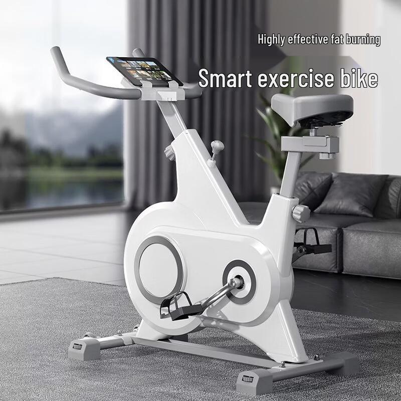 LDIWEI K760 Home Fitness Spinning Bike CN plug (adapter included)