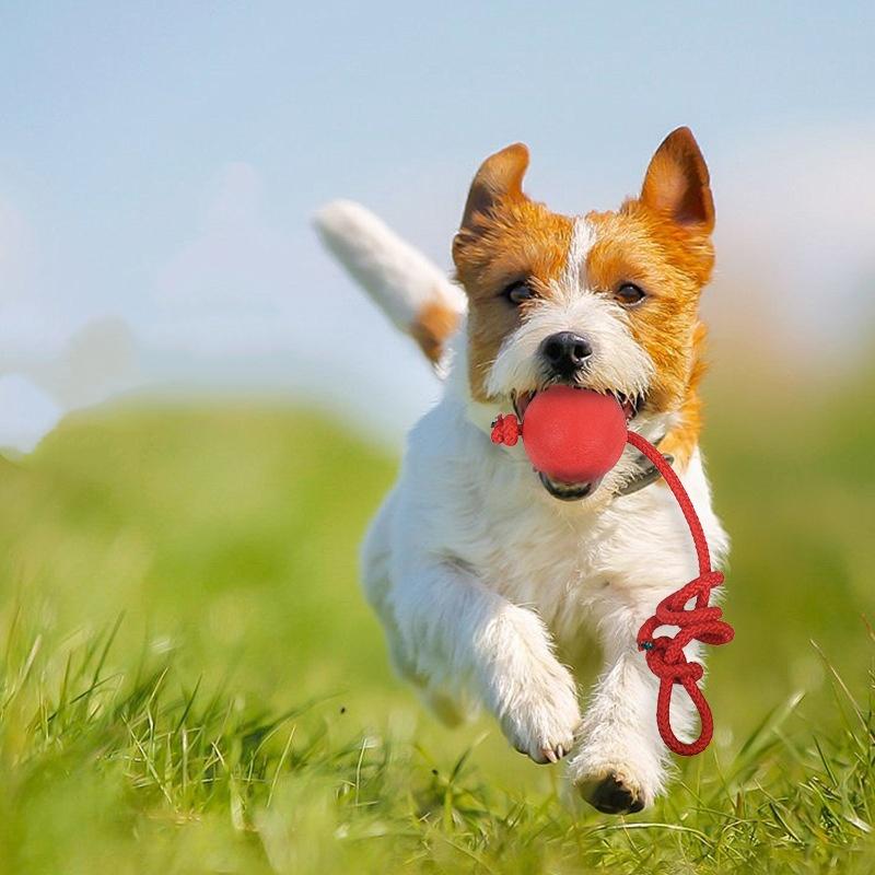 Rubber Ball with Rope Pet Teeth Indestructible Bite Toy Funny Puppy Training Solid Balls Pets Dog Chew Toys