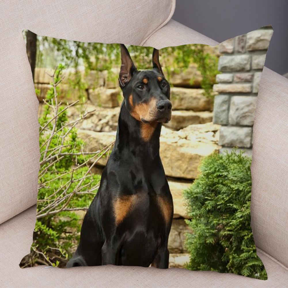 Doberman Pinscher Cushion Cover Both Sided Print Decor Pet Dog Animal Pillow Case for Car Sofa Home Soft Plush Throw Pillowcase