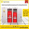 Heptafluoropropane Ductless Gas Fire Suppression Cabinet - FM200 System Manufacturer