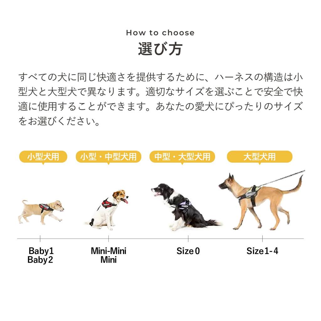 IDC Power Arabesque Grün Geschirr, Größe S/Mini,