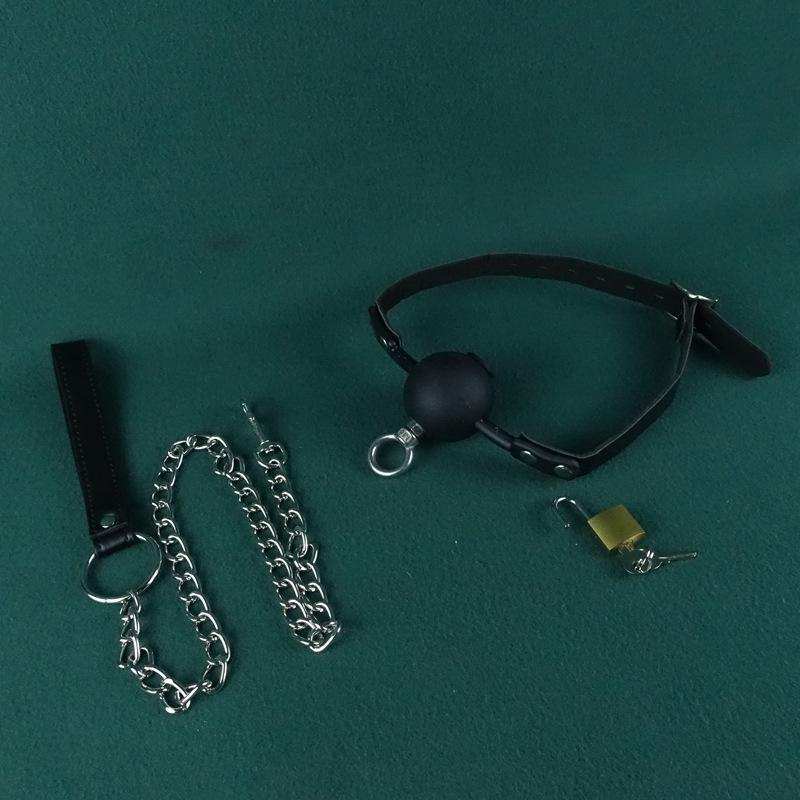 Lockable Anti-Vomiting Dog Muzzle Gag - Large Size with One-Word Strap for Kinky Outdoor Use