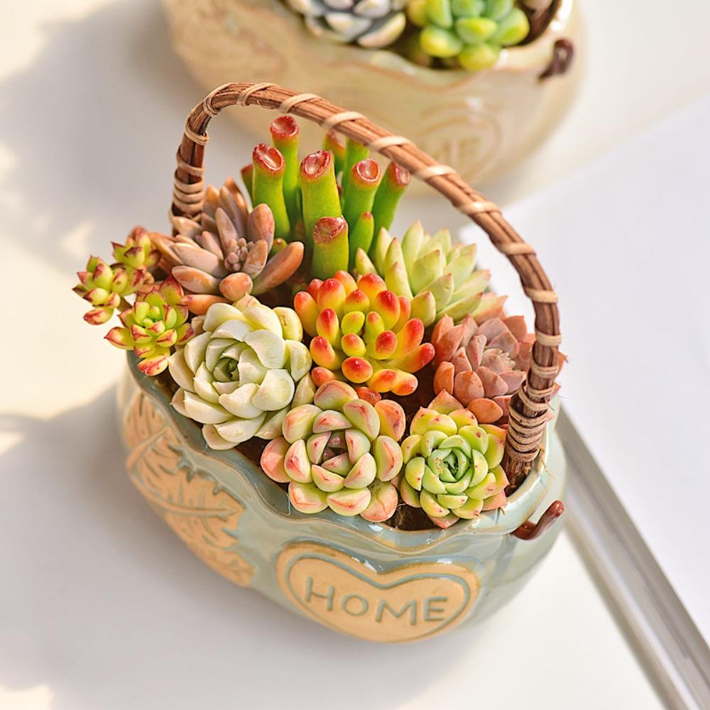 Creative Succulent Planter with Handle Multifunction Resin Flower Pot Corrosion-resistant Decorative Ornament
