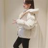 Nuova Giacca Invernale con Cappuccio Donna Cappotto in Cotone Parka Corto Casual Soprabito Giacca Imbottita Calda Parka Femminile Giacca con Zip Capospalla